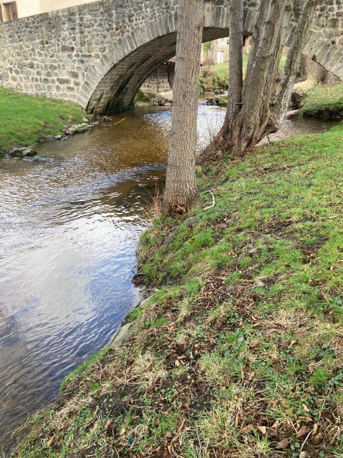 Soleymieux Jolie Maison De Campagne, Compostelle מראה חיצוני תמונה
